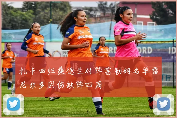扎卡回归桑德兰对阵富勒姆名单雷尼尔多因伤缺阵四周