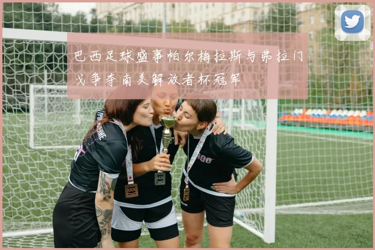 巴西足球盛事帕尔梅拉斯与弗拉门戈争夺南美解放者杯冠军